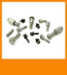 captives screws